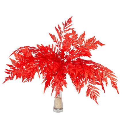 HELECHO CUERO PRESERVADO ROJO