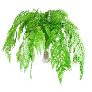 HELECHO PARCHEMIN PRESERVADO VERDE HELECHO