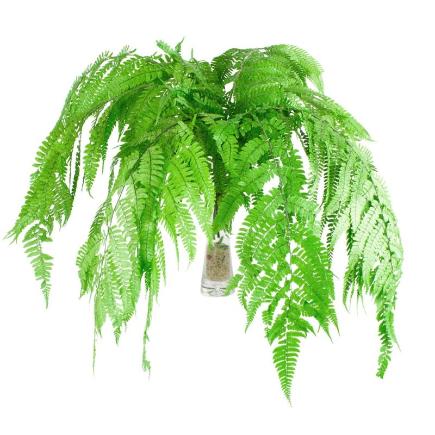 HELECHO PARCHEMIN PRESERVADO VERDE HELECHO