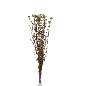 RICE FLOWER PRESERVADA BLANCO