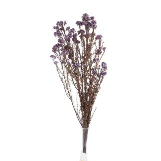 RICE FLOWER PRESERVADA LILA