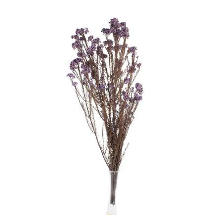 RICE FLOWER PRESERVADA LILA