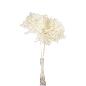 HORTENSIA PRESERVADA PREMIUM BLANCO