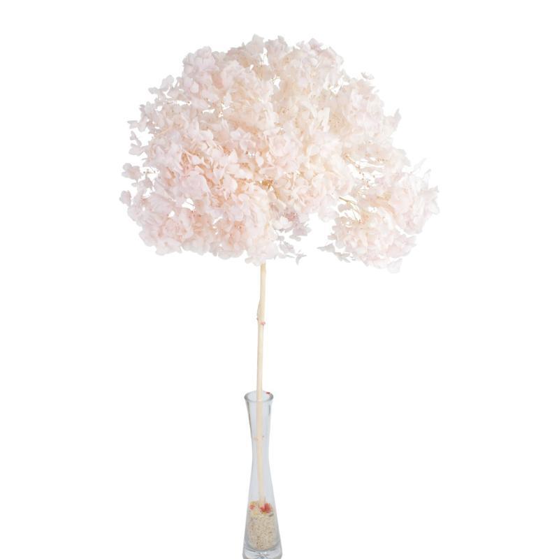 HORTENSIA PRESERVADA PREMIUM ROSA PALO