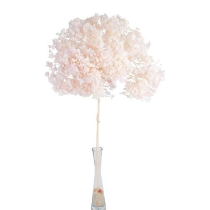 HORTENSIA PRESERVADA PREMIUM ROSA PALO