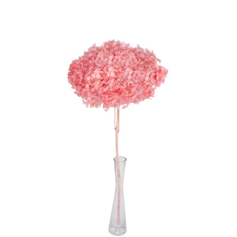 HORTENSIA PRESERVADA PREMIUM ROSA CLARO