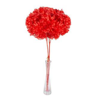 HORTENSIA PRESERVADA PREMIUM ROJO