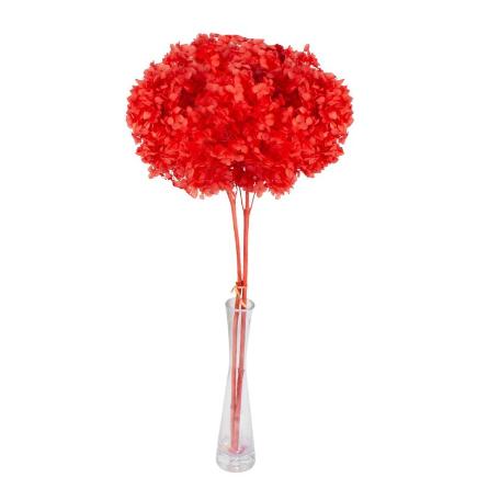 HORTENSIA PRESERVADA PREMIUM ROJO