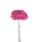 HORTENSIA PRESERVADA PREMIUM FUCSIA