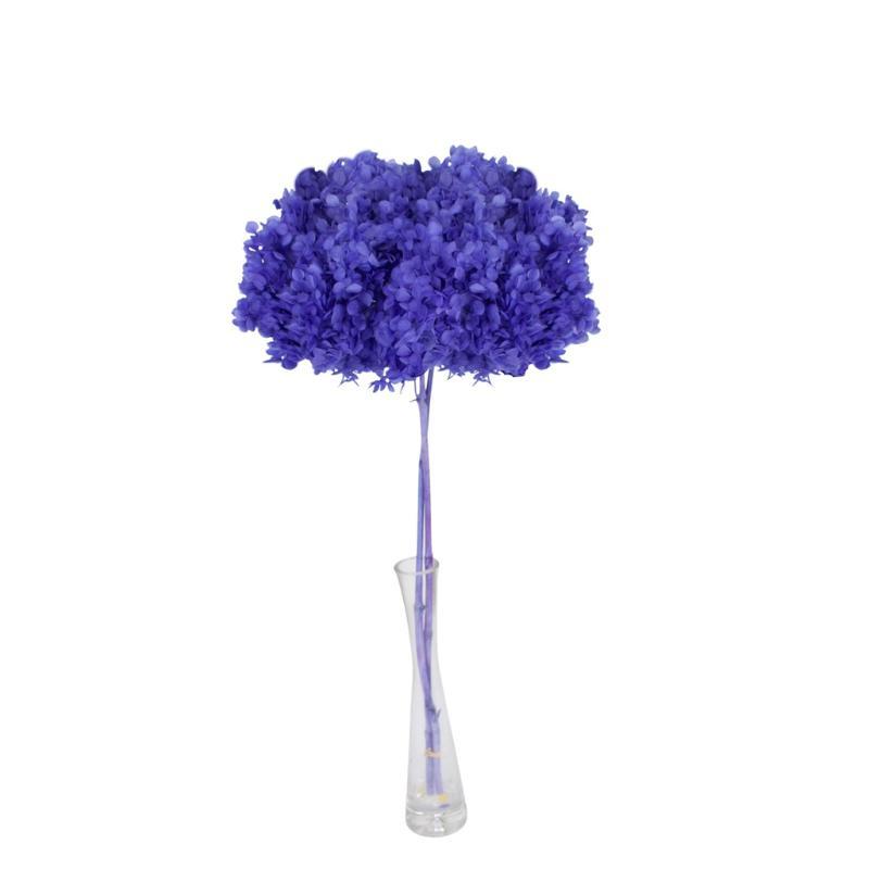 HORTENSIA PRESERVADA PREMIUM VIOLETA