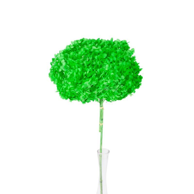 HORTENSIA PRESERVADA PREMIUM VERDE AMAZONICA