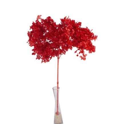 HORTENSIA PRESERVADA PREMIUM BURDEOS