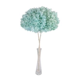HORTENSIA PRESERVADA PREMIUM AZUL CLARO