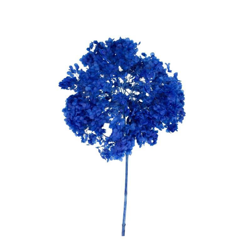 HORTENSIA PRESERVADA PREMIUM AZUL MARINO