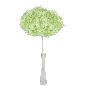 HORTENSIA PRESERVADA PREMIUM VERDE CLARO