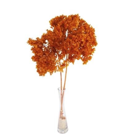 HORTENSIA PRESERVADA PREMIUM MARRON CUERO