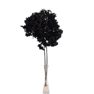 HORTENSIA PRESERVADA PREMIUM NEGRO