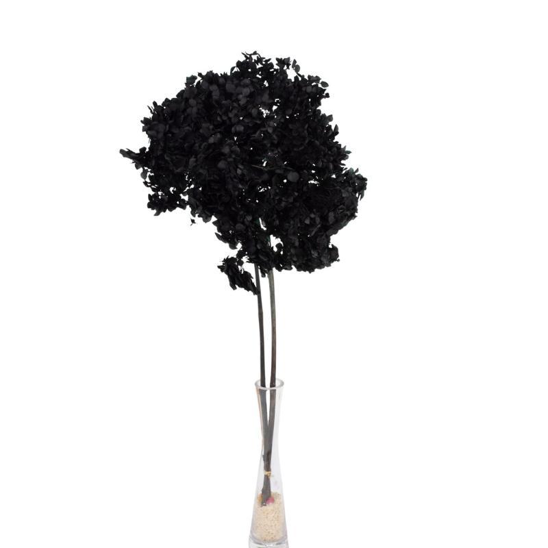 HORTENSIA PRESERVADA PREMIUM NEGRO