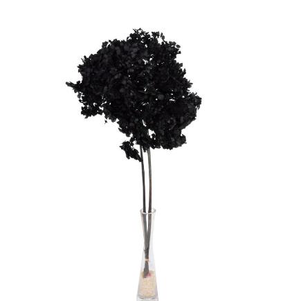 HORTENSIA PRESERVADA PREMIUM NEGRO
