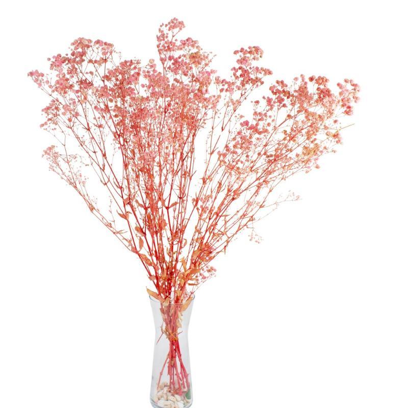 GYPSOPHILA BOLA PRESERVADA ROSA PALO