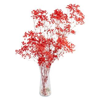 GYPSOPHILA BOLA PRESERVADA ROSA CLARO