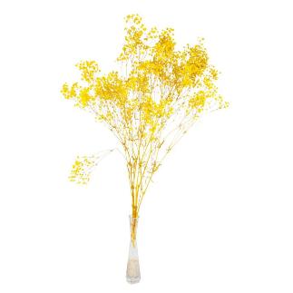 GYPSOPHILA BOLA PRESERVADA AMARILLO