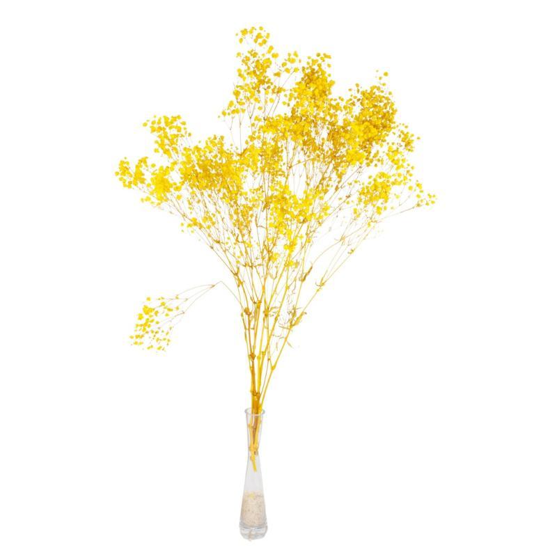 GYPSOPHILA BOLA PRESERVADA AMARILLO