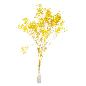 GYPSOPHILA BOLA PRESERVADA AMARILLO