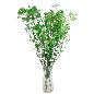 GYPSOPHILA BOLA PRESERVADA VERDE PRIMAVERA