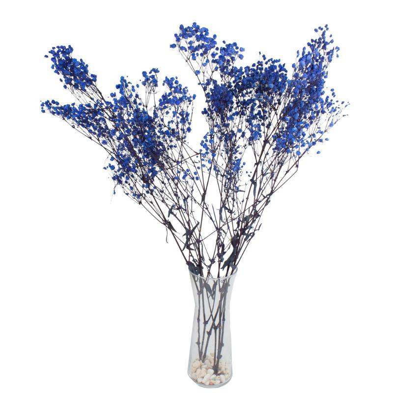 GYPSOPHILA BOLA PRESERVADA AZUL MARINO