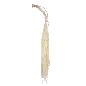 AMARANTHUS PRESERVADA 5X BLANCO