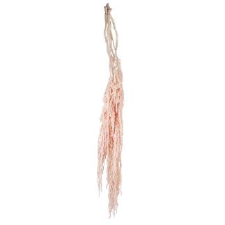 AMARANTHUS PRESERVADA 5X ROSA PALO
