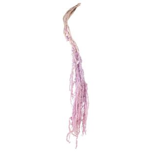 AMARANTHUS PRESERVADA 5X LILA