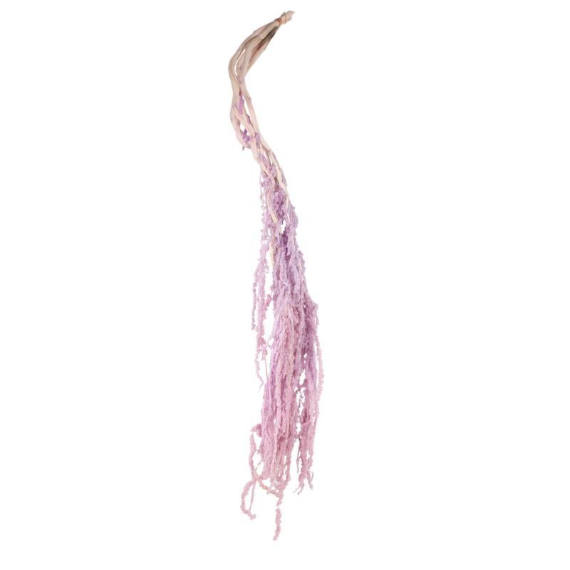 AMARANTHUS PRESERVADA 5X LILA