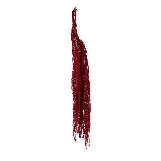AMARANTHUS PRESERVADA 5X BURDEOS