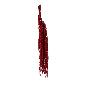AMARANTHUS PRESERVADA 5X BURDEOS