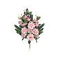 CONJUNTO DALIA-ALLIUM X 10-60 CM ROSA