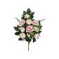 CONJUNTO CAP-MAGNOLIA X12-55 CM ROSA