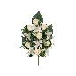CONJUNTO CAPULLOS-CYM X 13-54 CM BLANCO