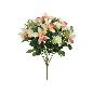 RAMO CYMBIDIUM MIX 13-52 CM TE