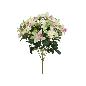 RAMO CYMBIDIUM MIX X 13-52 CM CREMA