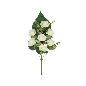 CONJUNTO ROSAS-EUCA X8-52 CM BLANCO