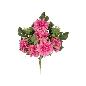 CONJUNTO DALIA-HORTENSIA X11-60 CM FUCSIA