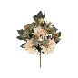 CONJUNTO DALIA-MIX (A) X9-56 CM BEIGE