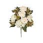 CONJUNTO ROSA-HORTENSIA (A) X11-56 CM CREMA