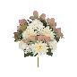 CONJUNTO DALIAS-HYD (A) X 13-55 CM CR