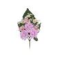 CONJUNTO DALIAS-ORQUIDEA X 9-51 CM VIOLETA