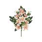 CONJUNTO ORQUIDEA-LILIUM X 11-57 CM TE