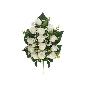 CONJUNTO CAPULLOS PAP X 13-55 CM BLANCO