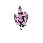CONJUNTO CAPULLOS HIGH X8 - 52 CM VIOLETA